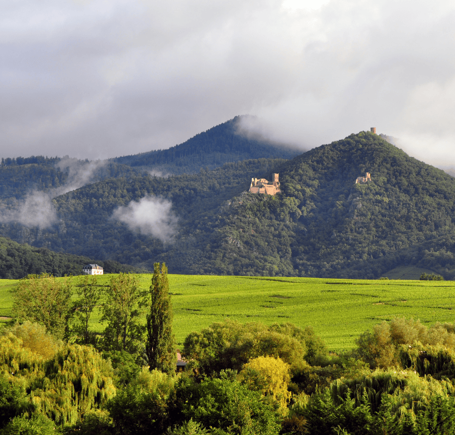 photo d un terrain alsacien