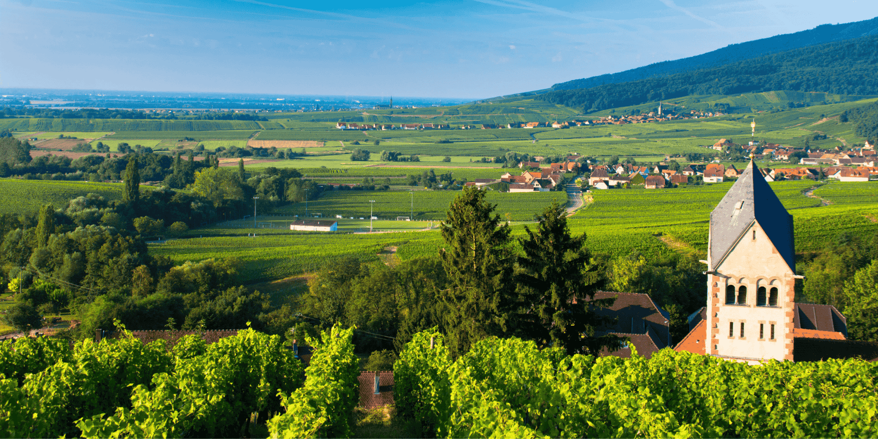 territoire alsace terrain
