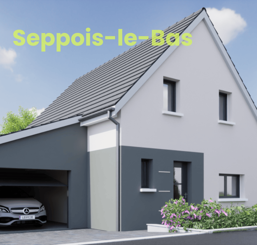 maison moderne toiture traditionnelle avec garage